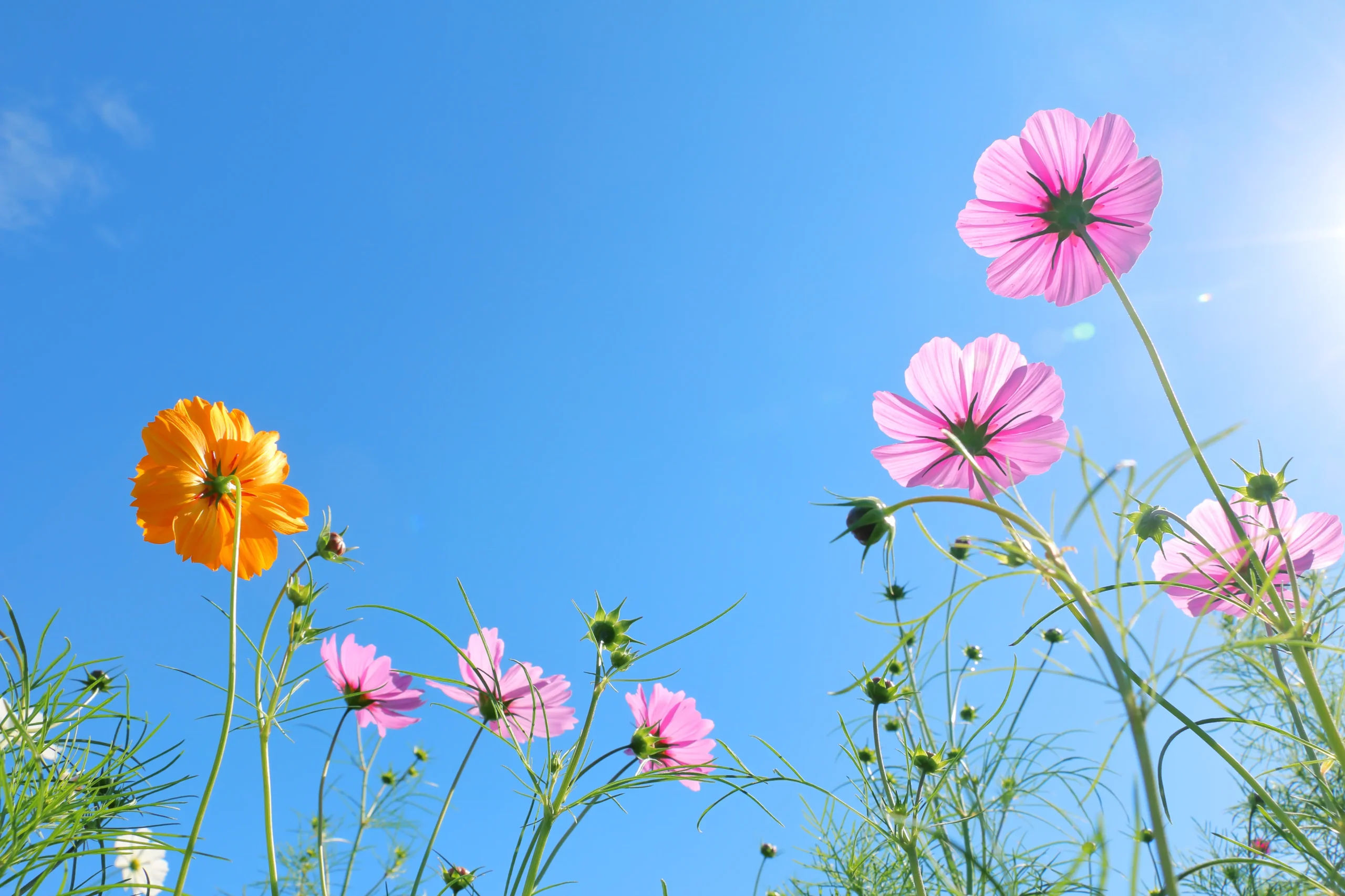 test01-webp