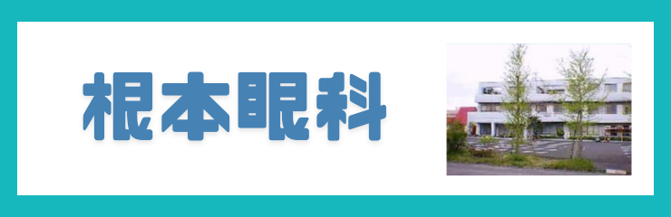 医療法人龍の子会　根本眼科